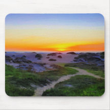 SURFA FÖR KALIFORNIEN