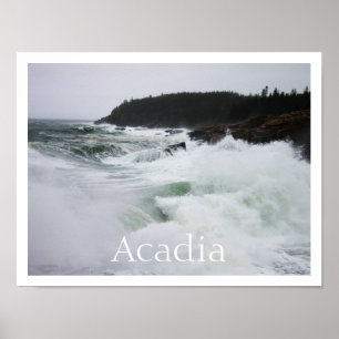 Surfa för kraschande, nationalparken Acadia Poster