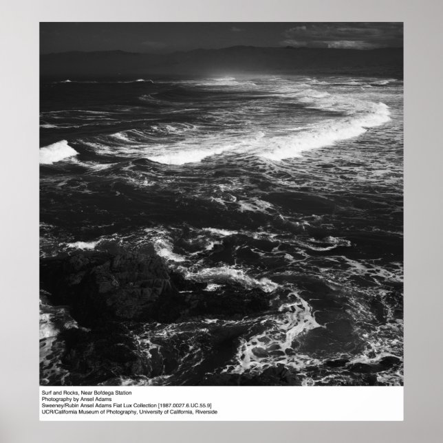 Surfa och Sten, nära Bodega Station av Ansel Adams Poster (Framsidan)