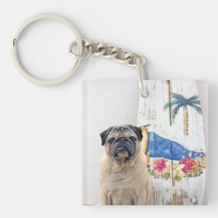 Surfa Pug