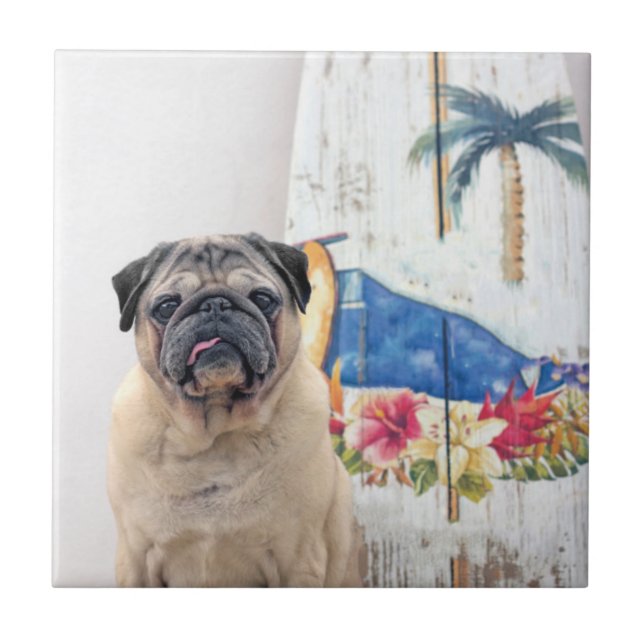 Surfa Pug Kakelplatta (Framsidan)