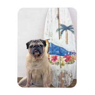 Surfa Pug Magnet