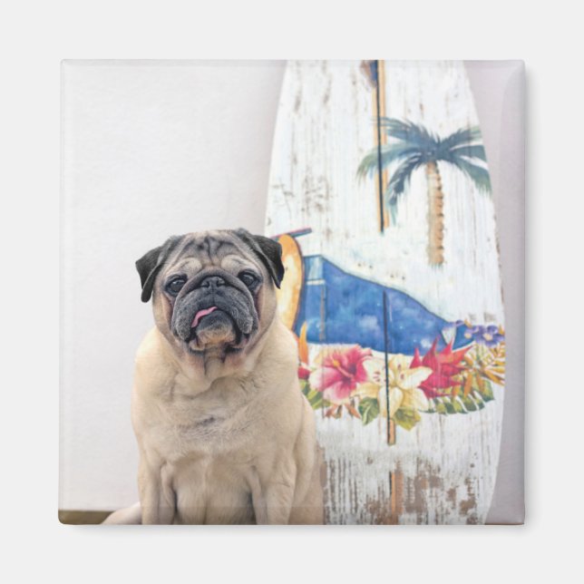 Surfa Pug Magnet (Framsidan)