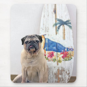 Surfa Pug Musmatta