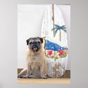Surfa Pug Poster