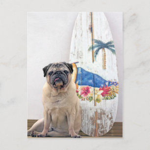Surfa Pug Vykort