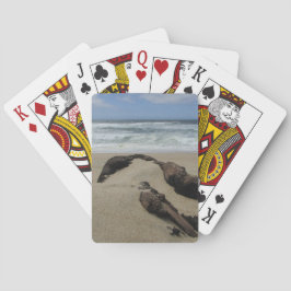 Surfa Sand och Driftwood Väster Kusten Landskapsse Casinokort