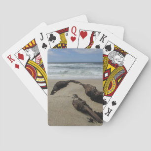 Surfa Sand och Driftwood Väster Kusten Landskapsse Casinokort