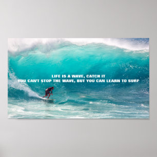 SURFACITATIONSTECKEN POSTER