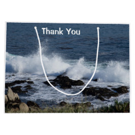 Surfan i Stillahavsområdet