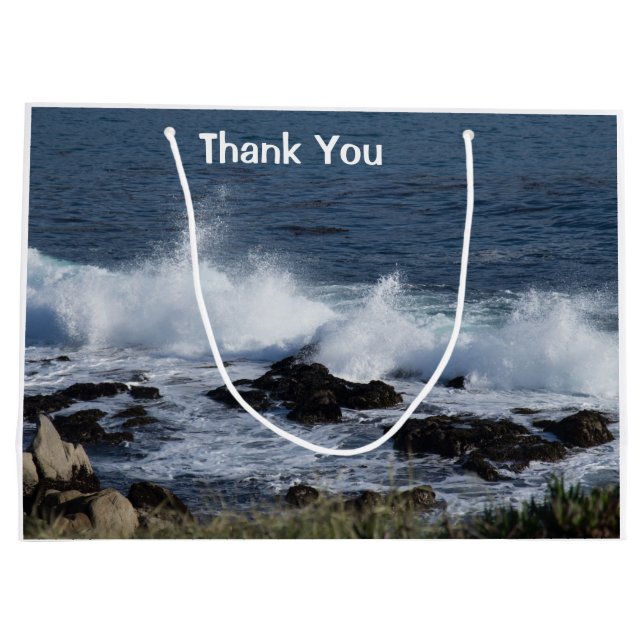 Surfan i Stillahavsområdet (Baksidan)