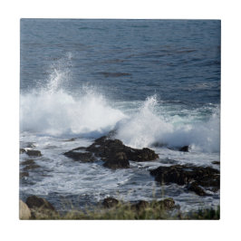 Surfan i Stillahavsområdet Kakelplatta