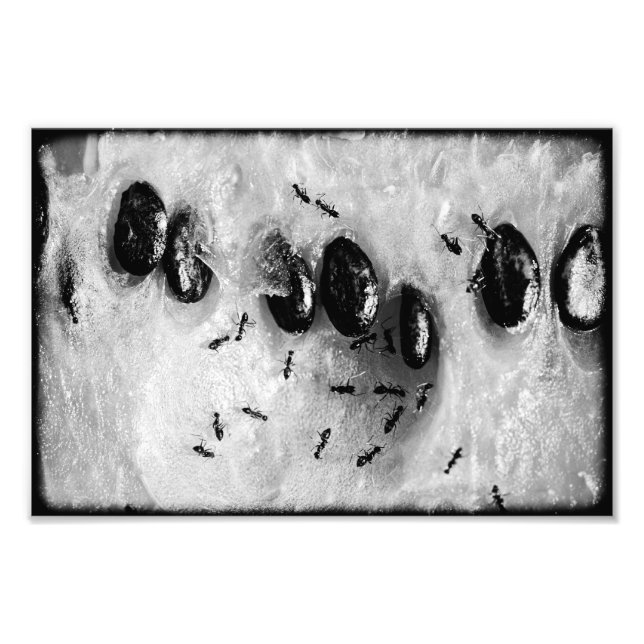 surfande fototryck (Framsidan)