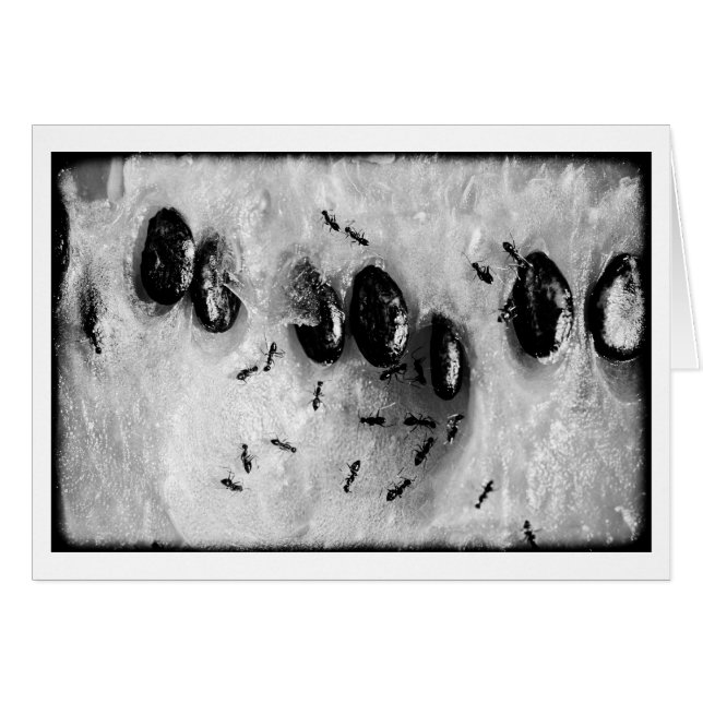 surfande hälsningskort (Framsidan Horizontal)