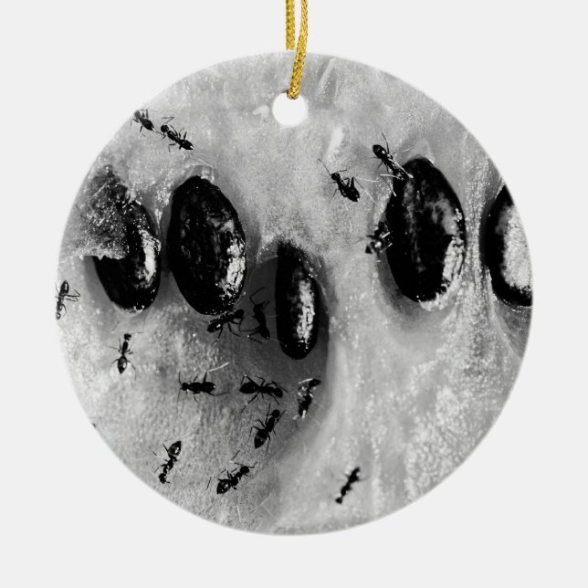 surfande julgransprydnad keramik (Framsidan)