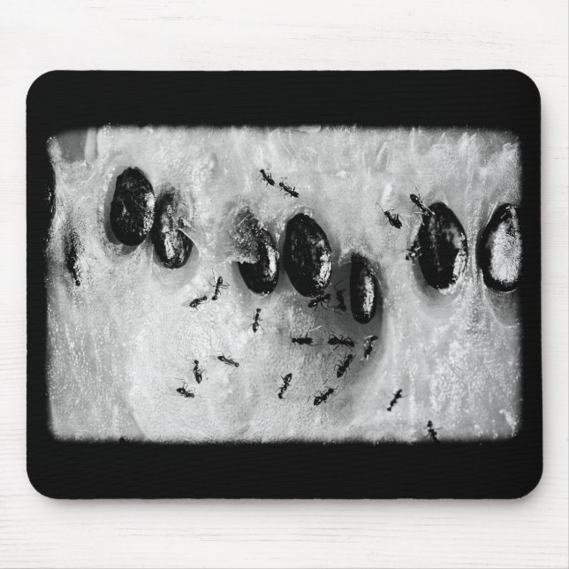 surfande musmatta (Framsidan)