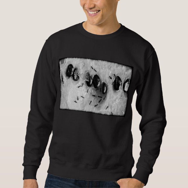 surfande myror sweatshirt (Framsida)