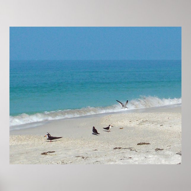 Surfans jägare Poster (Framsidan)