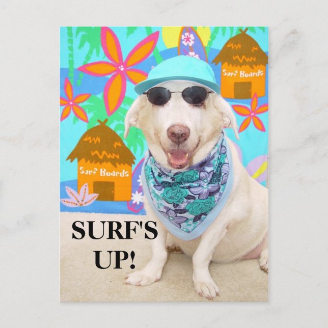 SURFANS UPP! VYKORT (Framsida)