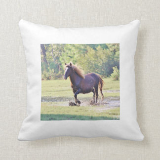 Surfareduden kudder kudde