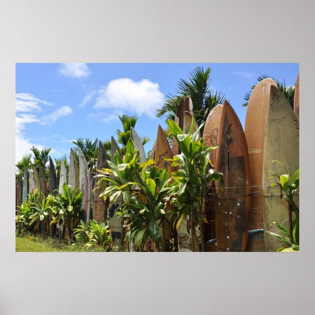 Surfboard Fence Maui, HI Poster (Framsidan)