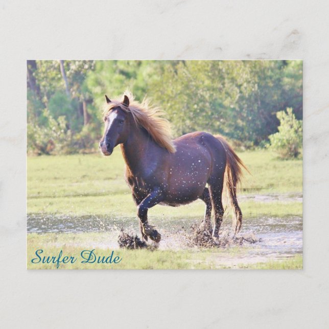 Surfer Boy Wading Vykort (Framsida)