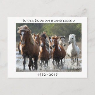 Surfer och hans band vykort