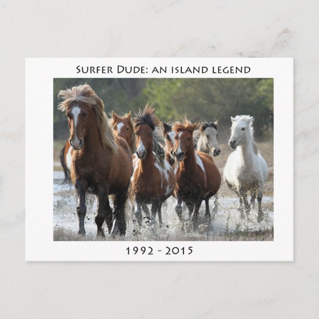 Surfer och hans band vykort (Framsida)