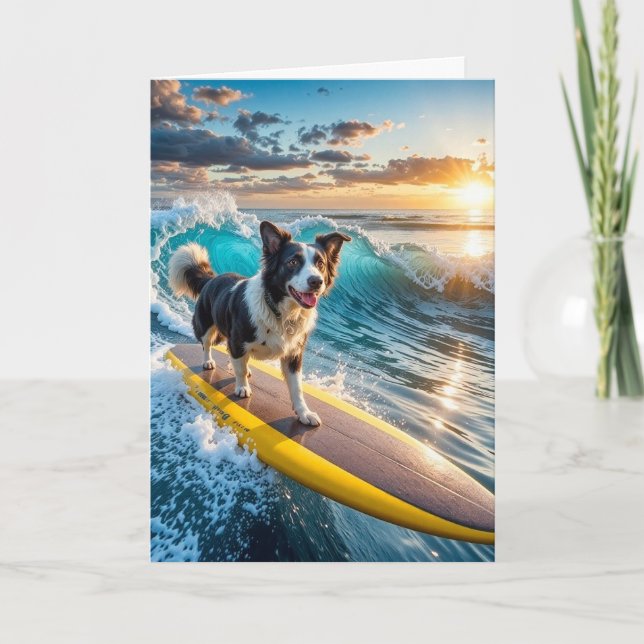 Surfing Gräns Collie Kort (Framsida)