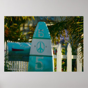 Surfingbrädafredbrevlåda Poster