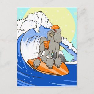 Surfning i tecknad hund pudel vykort
