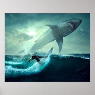 Surfning med hajar poster