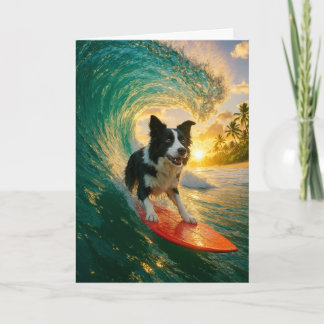 Surfs Up Gräns Collie Kort