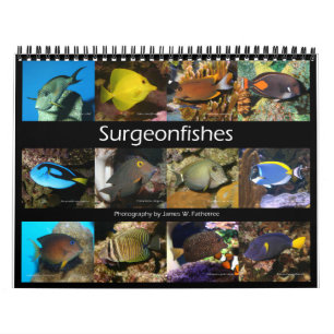 Surgeonfishes Wall Calendar av J.W. Faderträdet. Kalender