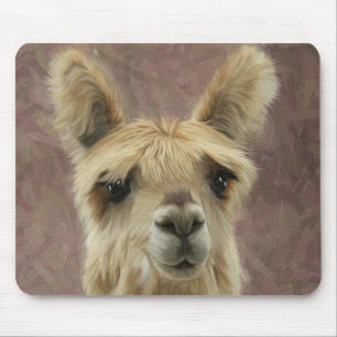 Suri Alpaca Musmatta