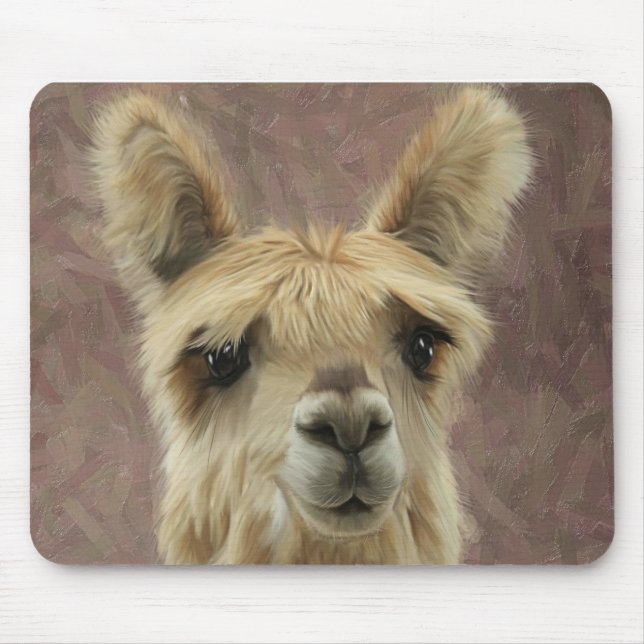 Suri Alpaca Musmatta (Framsidan)