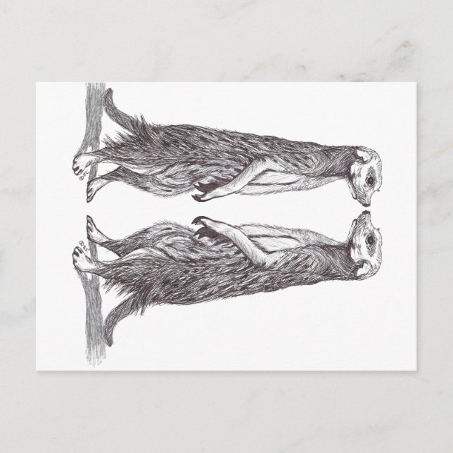 SURICATA LOVE. MEERKAT LOVE. HELG VYKORT (Framsida)