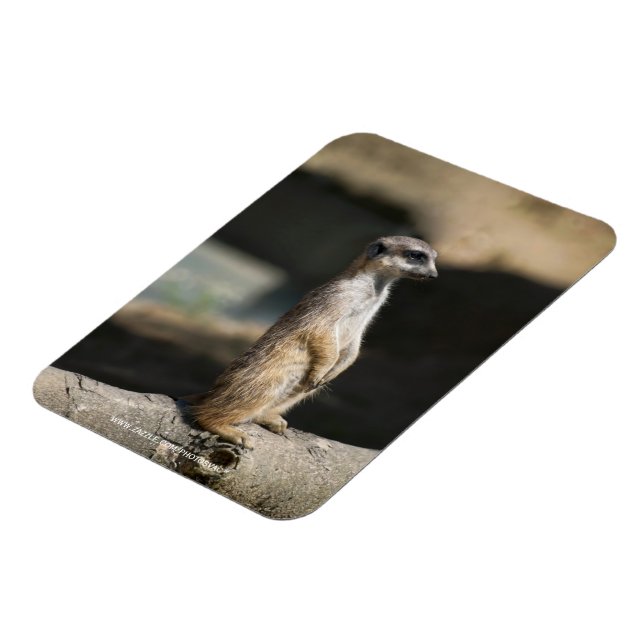 Surikat Magnet (Vänstra Sidan)