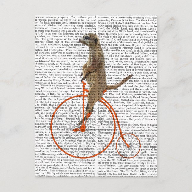 Surikat på Orange Penny Farthing Vykort (Framsida)