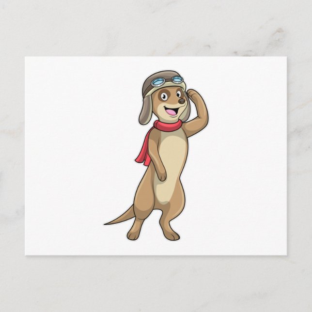 Surikat som pilot med pilotmössa vykort (Framsida)