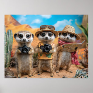 Surikater utklädda till turister med kameror och k poster