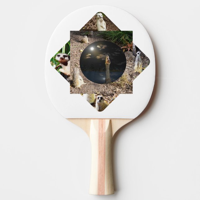 Surikats Polyscope,  Pingisracket (Framsidan)