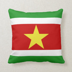 Surinam Flagga Kudde