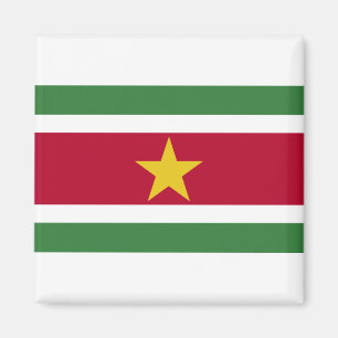 Surinam Flagga Magnet