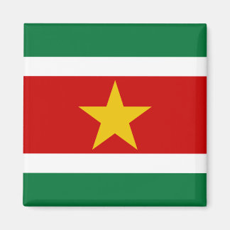 Surinam Flagga Magnet
