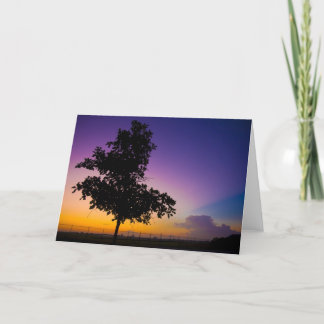 Surise på bågskyttfält kort