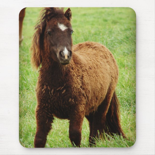 Surprid Mini Musmatta (Framsidan)