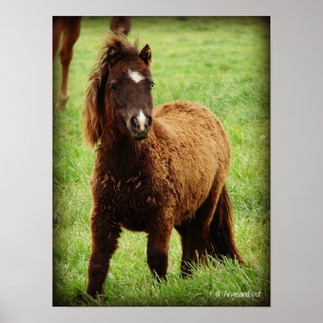 Surprid Mini Poster (Framsidan)