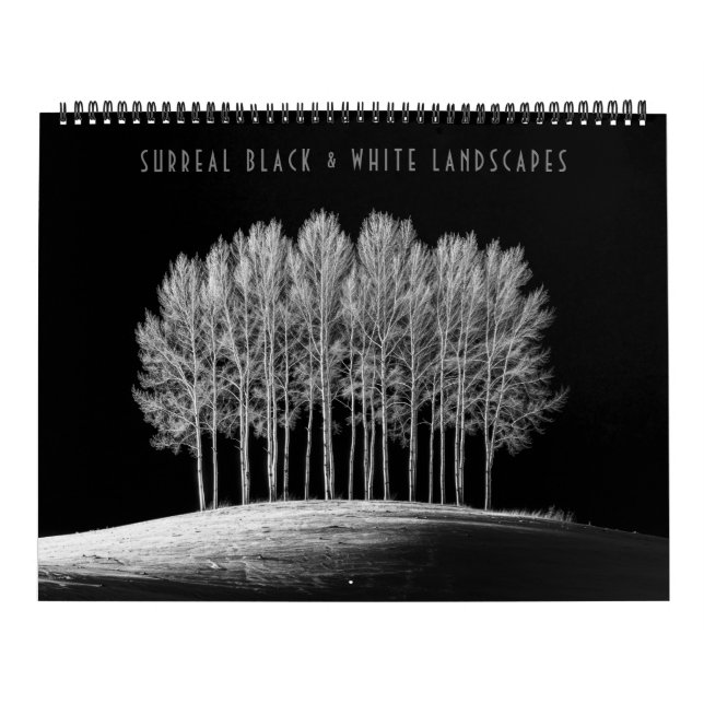 Surreal Black & White Landscapes Kalender (Omslag)