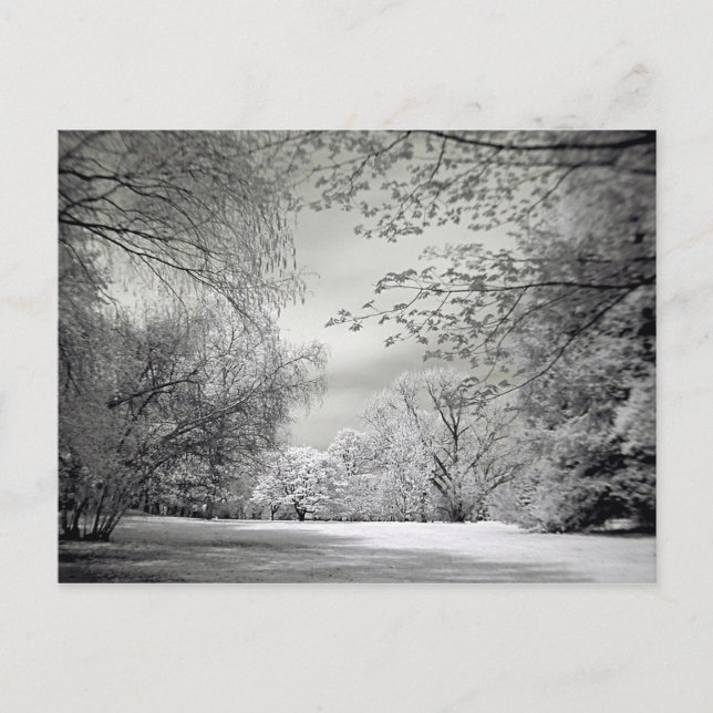 Surreal, falsk färg, infrarött vår-landskap. vykort (Framsida)